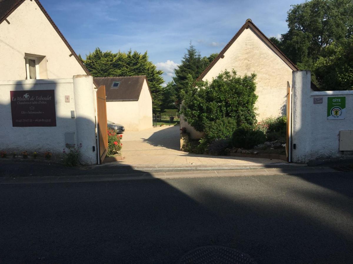 La Maison De Triboulet Chambres Et Table D'Hotes -Amboise- Pocé-sur-Cisse Exteriör bild